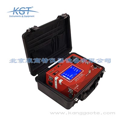 Rapidox SF6 6100 Portable便携式气体分析仪
