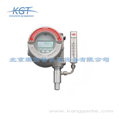 美国PHYMETRIX(菲美特)　DPT-900型号在线式防爆露点仪